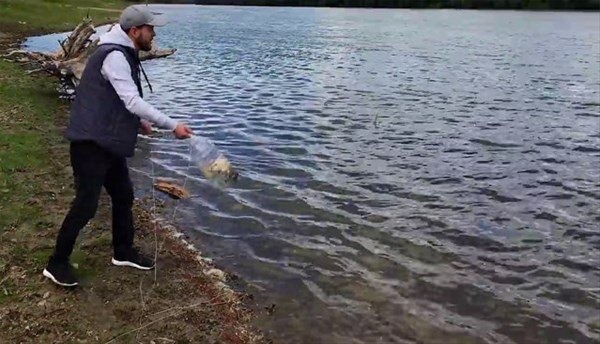 Hiç görülmemiş av taktiği 