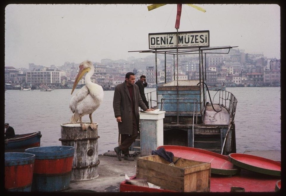 Renklendirilmiş halleriyle eski İstanbul fotoğrafları