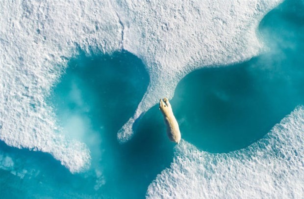 İşte 2018'in en iyi doğa fotoğrafları