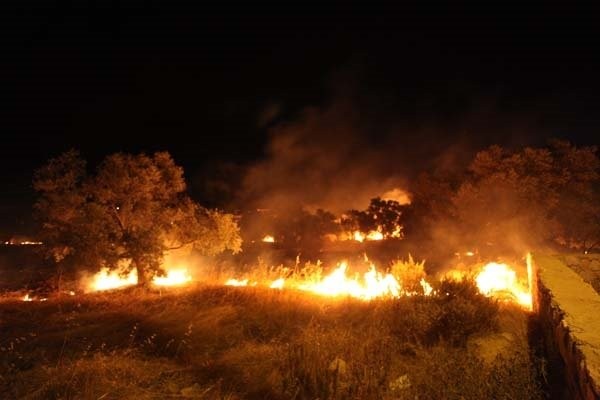 Bodrum'da hareketli dakikalar!