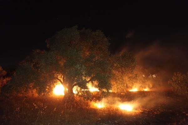 Bodrum'da hareketli dakikalar!