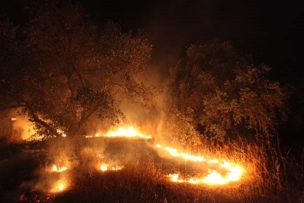 Bodrum'da hareketli dakikalar!