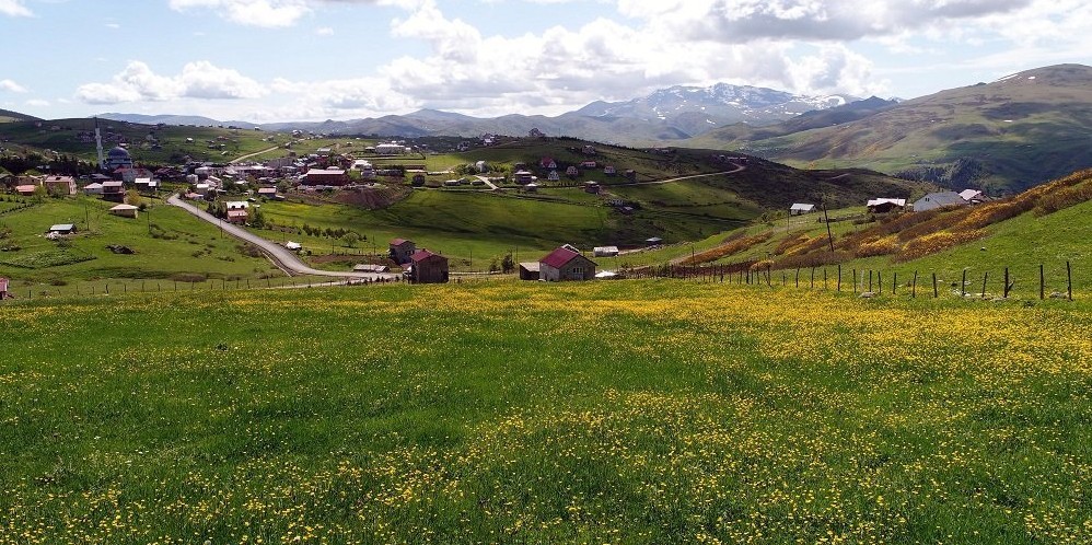 Ordu'nun yaylalarına Arap turist akını