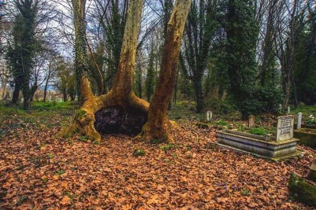 Türkiye'de tüyler ürpertici  olduğu iddia edilen 18 gizemli mekan