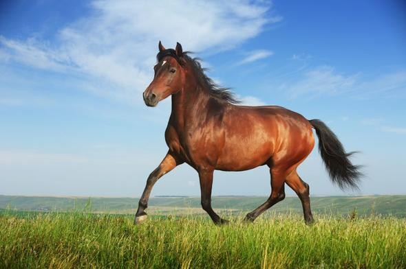 42 bin yıl sonra uyandı! Dünyanın en yaşlı canlısı