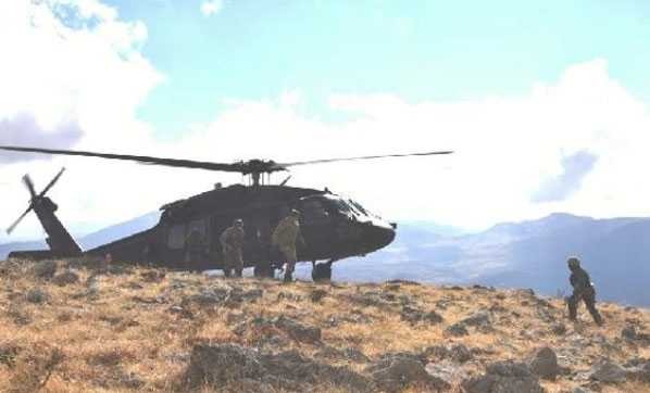 Bordo bereliler, Zagros Dağları’nda konumlandı