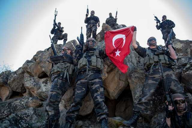 Bordo bereliler, Zagros Dağları’nda konumlandı