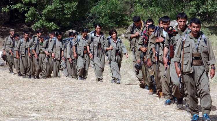 HDP-PKK ortaklığı terörist ifadelerinde