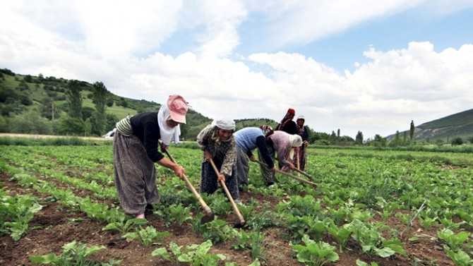 150 milyar dolarlık hasıla için dev reform