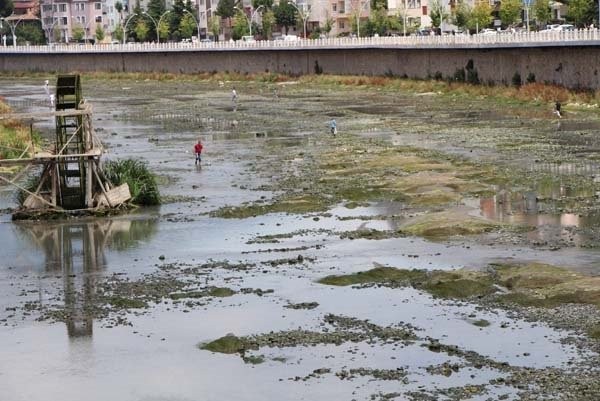 Yeşilırmak Nehri susuz kaldı! Vatandaş şaşkın