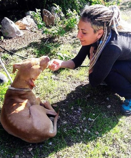 Özlem Tekin, her şeyi bırakıp köye yerleşti