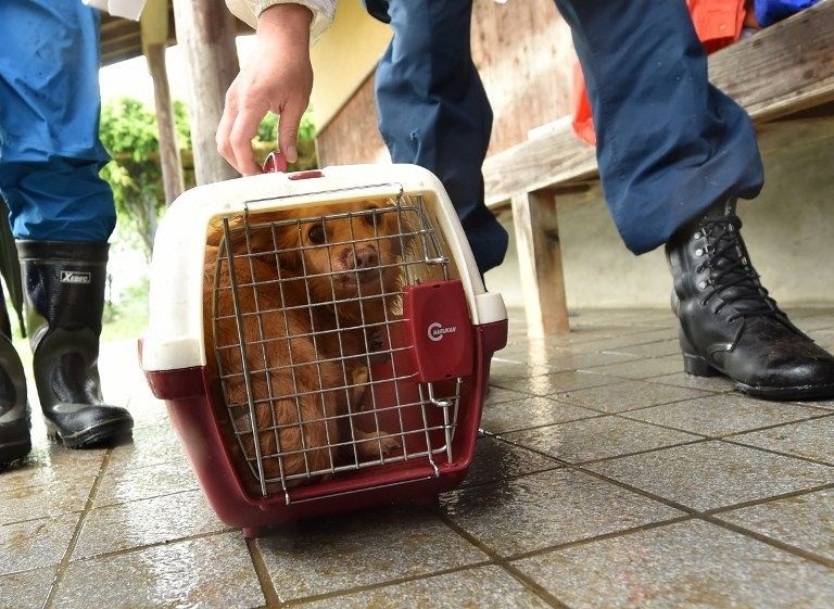 Japonya'da sel felaketi: Ölü sayısı 112'ye ulaştı