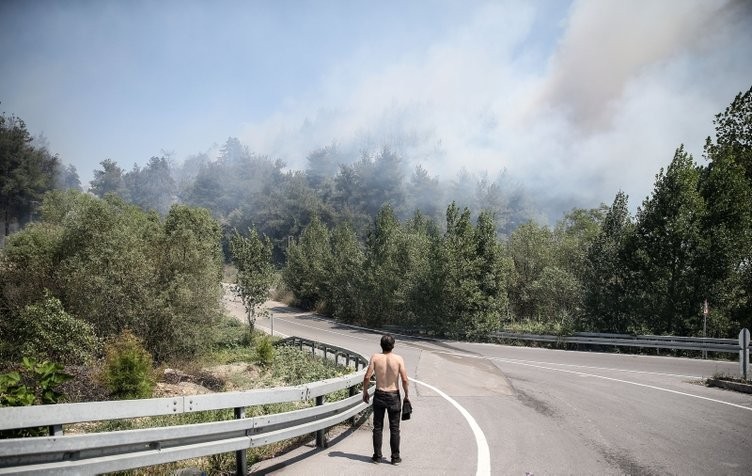 Ormanlık alanda yangın