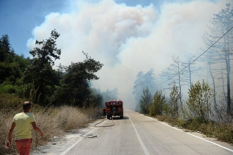 Ormanlık alanda yangın