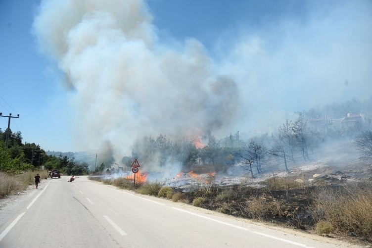 Ormanlık alanda yangın