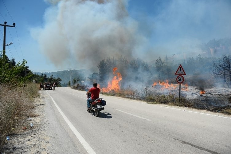 Ormanlık alanda yangın