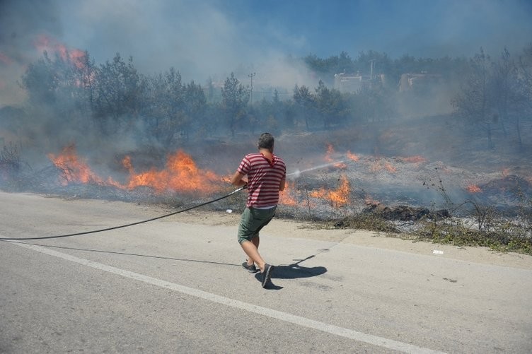 Ormanlık alanda yangın