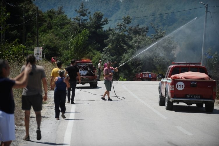 Ormanlık alanda yangın