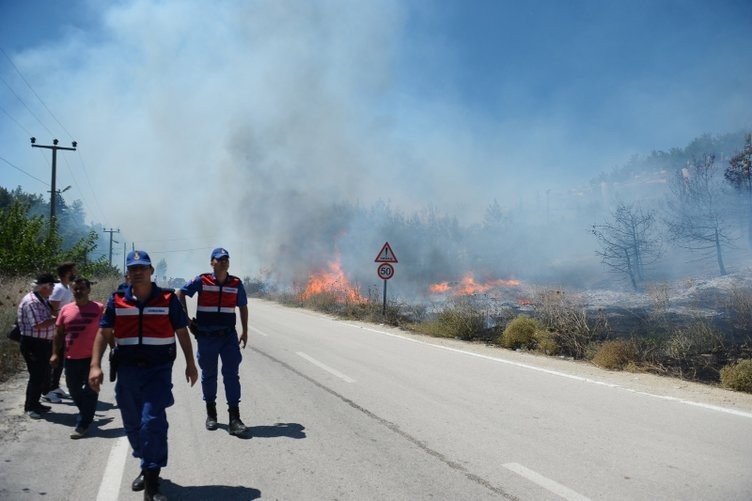 Ormanlık alanda yangın