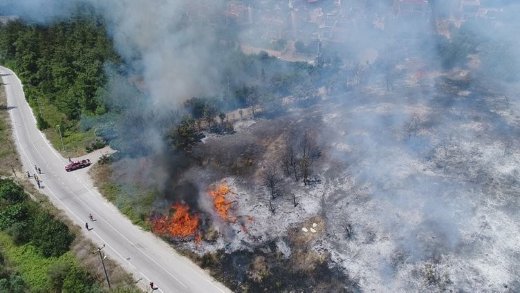 Ormanlık alanda yangın