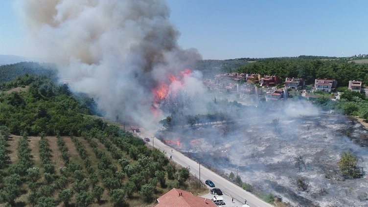 Ormanlık alanda yangın