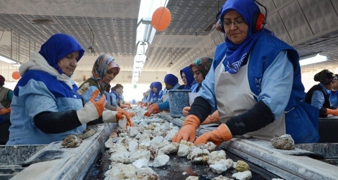 Binlerce çalışanı ilgilendiriyor! 270 saati aşamaz...