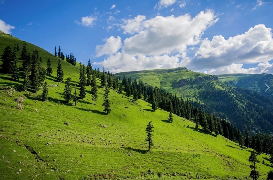 Türkiye'nin Milli Parkları