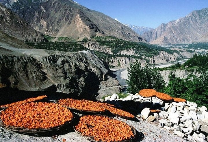 Bilim insanları üzerinde çalışıyor! 120 yıl yaşayan Hunza Türkleri'nin sırrı!