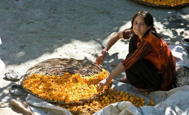 Bilim insanları üzerinde çalışıyor! 120 yıl yaşayan Hunza Türkleri'nin sırrı!