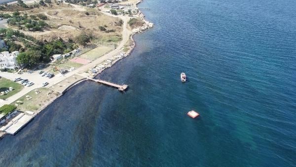 Foça sahili petrole bulandı