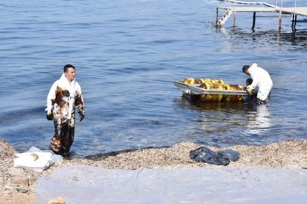 Foça sahili petrole bulandı