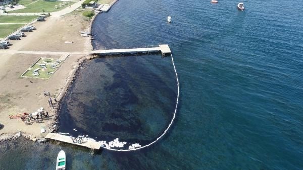 Foça sahili petrole bulandı