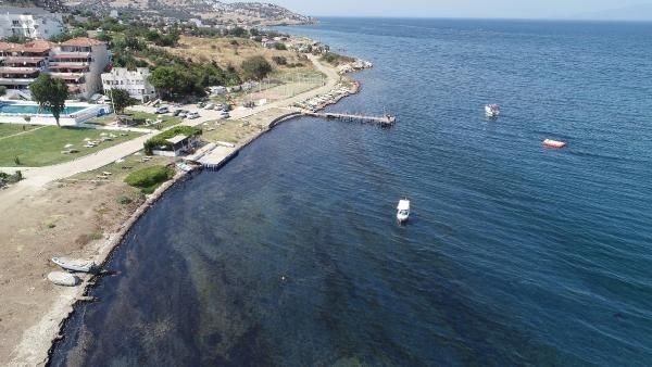 Foça sahili petrole bulandı