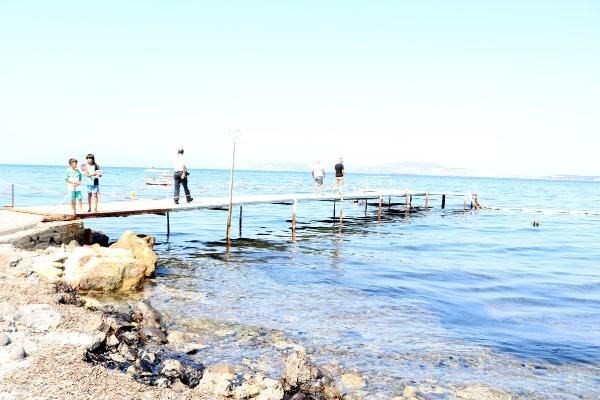 Foça sahili petrole bulandı