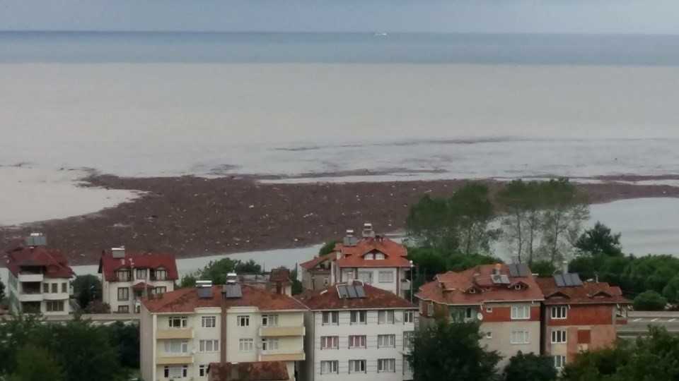 Ordu'da tonlarca fındık denize aktı