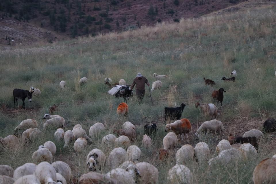 İlçede başkan, merada çoban