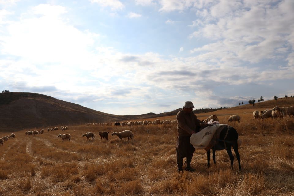 İlçede başkan, merada çoban