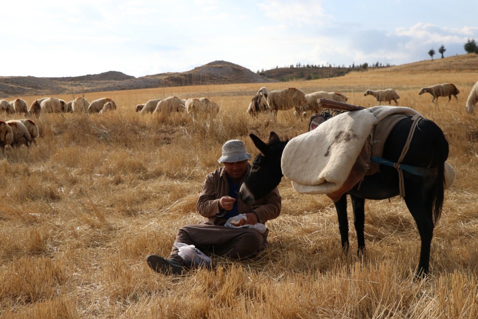 İlçede başkan, merada çoban