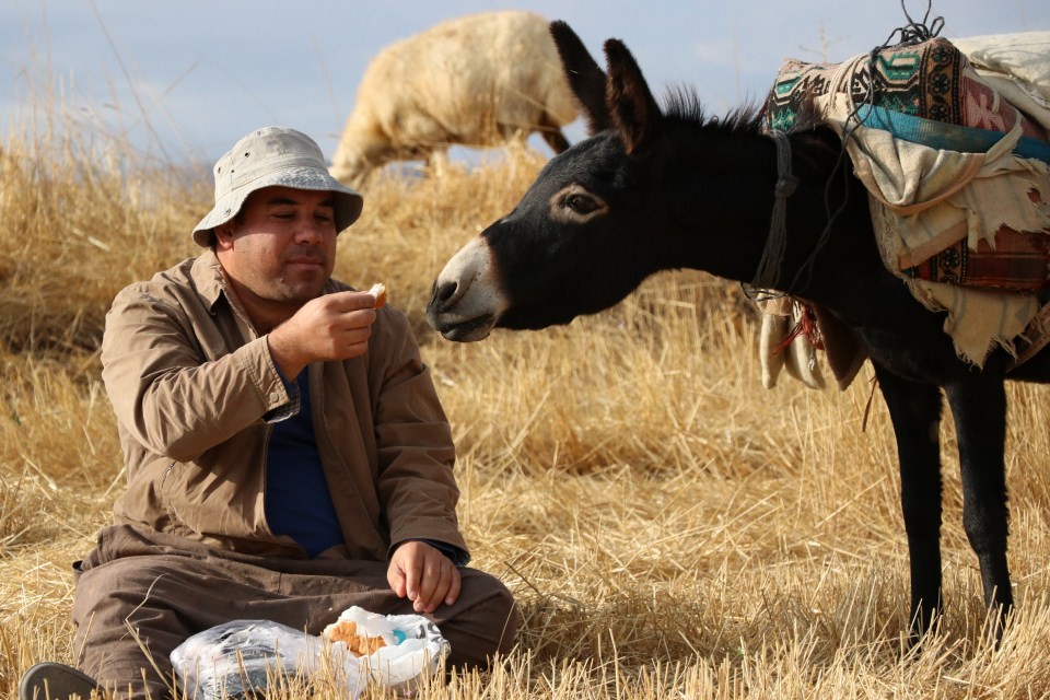 İlçede başkan, merada çoban