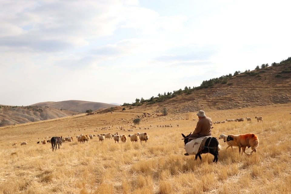 İlçede başkan, merada çoban