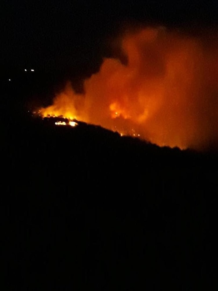 Hatay'daki yangından görüntüler