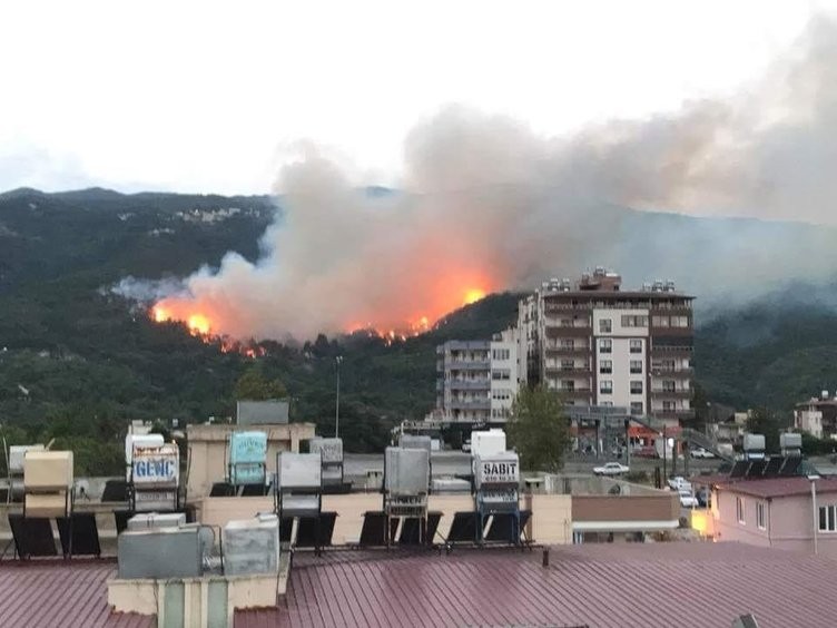 Hatay'daki yangından görüntüler