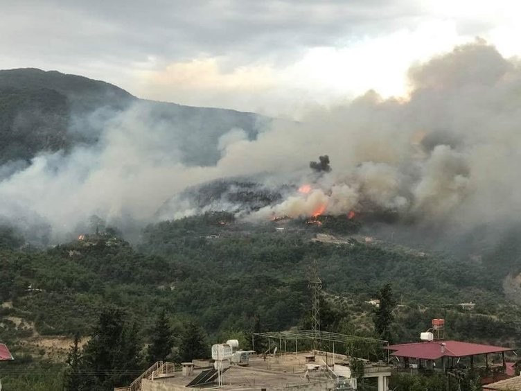 Hatay'daki yangından görüntüler