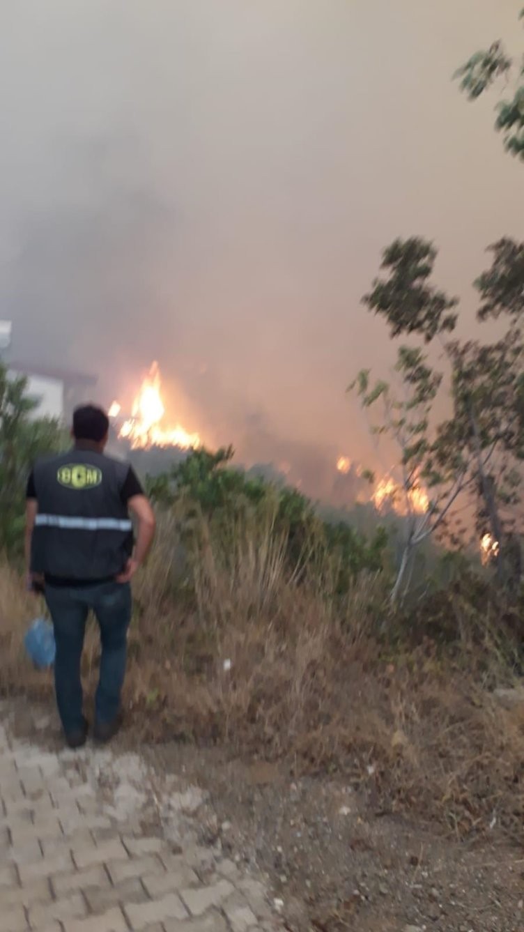 Hatay'daki yangından görüntüler