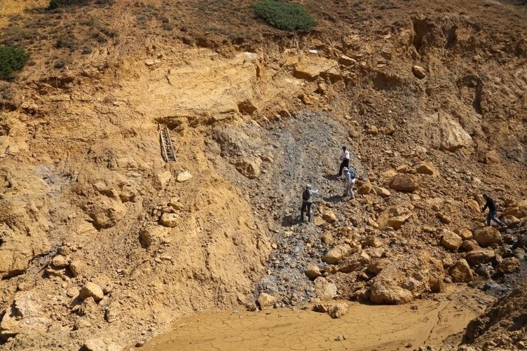 Türkiye'de bir ilk olan doğal kehribar incelemeye alındı