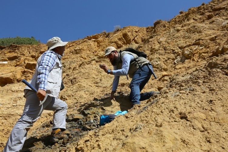 Türkiye'de bir ilk olan doğal kehribar incelemeye alındı