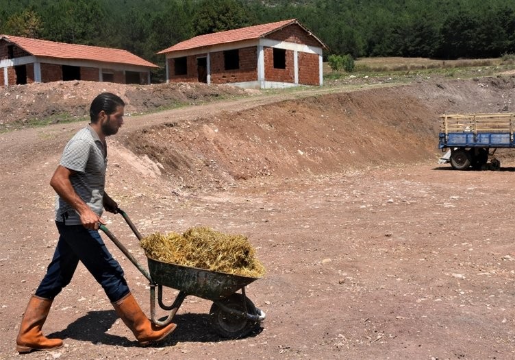 Üst düzey yöneticiydi köyünde hayvancılığa başladı! 