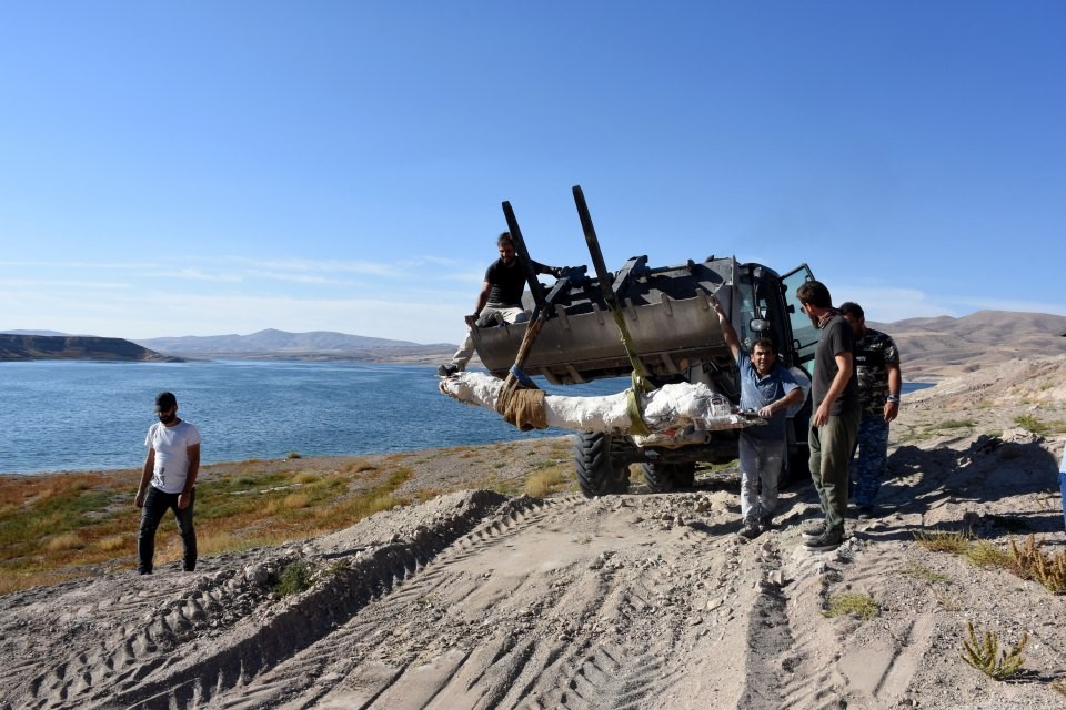 7,5 milyon yıllık fosiller özel yöntemle taşındı