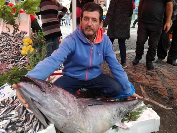 Saros'ta yakalanan orkinosu Yunan ve Bulgarlar aldı