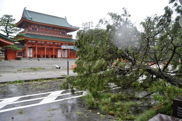 Japonya'da Jebi tayfunu: Yüz binlerce insan için tahliye emri